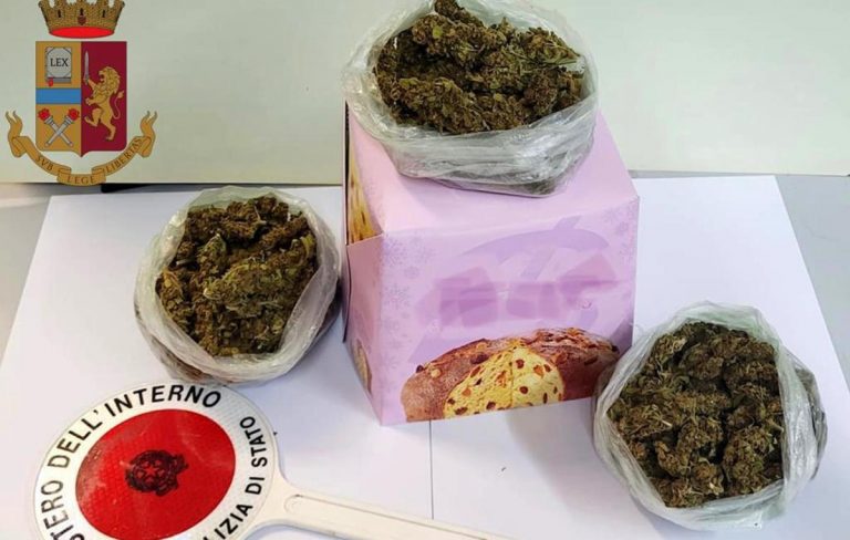 Nascondeva marijuana nel panettone, un arresto a Vibo