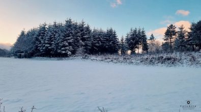 La magia della neve nelle Serre vibonesi: i fiocchi regalano paesaggi incantati – Foto