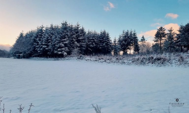 La magia della neve nelle Serre vibonesi: i fiocchi regalano paesaggi incantati – Foto