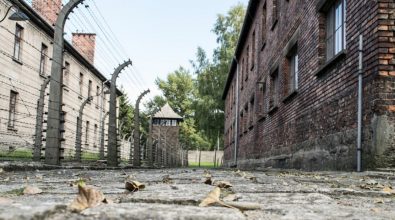 Shoah, dalla giornata della memoria ai libri per raccontare a bimbi e ragazzi lo sterminio degli ebrei