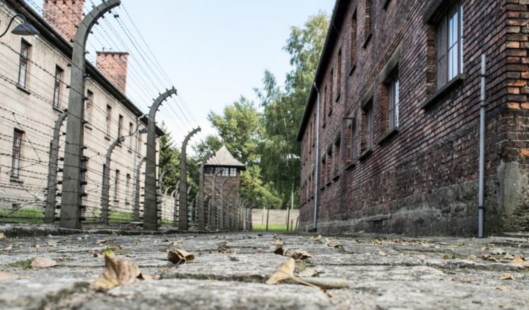 Zambrone, Comune e scuola insieme per celebrare il Giorno della Memoria