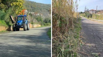 Sp 28 tra Comerconi e Preitoni, dopo le proteste la Provincia pulisce la strada