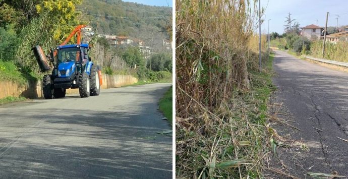 Sp 28 tra Comerconi e Preitoni, dopo le proteste la Provincia pulisce la strada