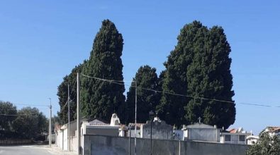 Zaccanopoli: il cimitero chiuso da sei mesi e il “mistero” della perizia