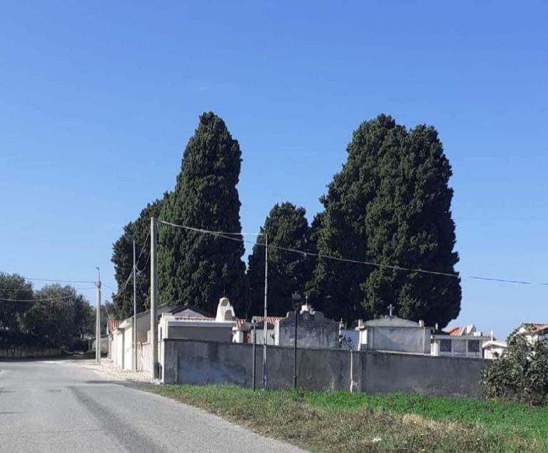 Zaccanopoli: il cimitero chiuso da sei mesi e il “mistero” della perizia