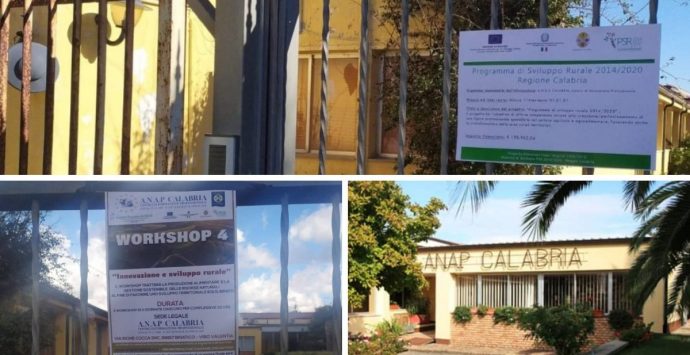 Lavoro e formazione, l’Anap Briatico tra nuovi corsi e workshop: «Ecco la nostra sfida»