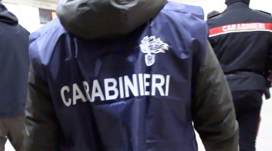 Blitz antidroga in Calabria: misure cautelari anche a Serra San Bruno