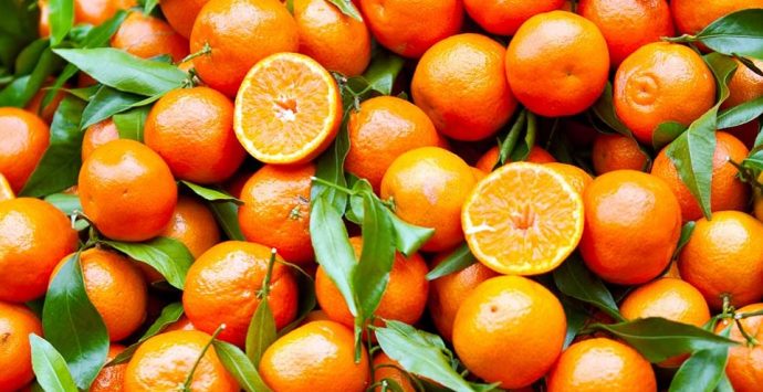 Le Clementine di Calabria Igp protagoniste alla fiera internazionale di Berlino