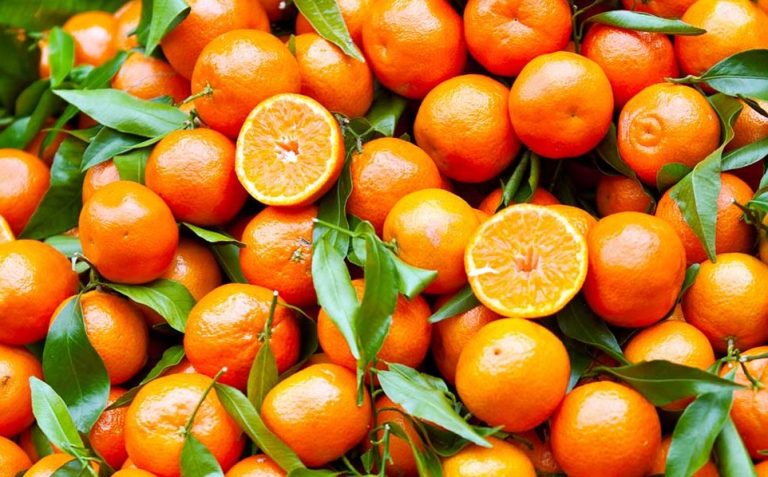 Le Clementine di Calabria Igp protagoniste alla fiera internazionale di Berlino