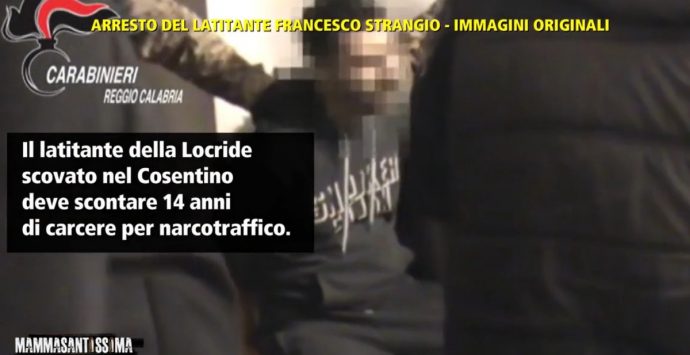 L’arresto del latitante Strangio: il video andato in onda nella terza puntata di Mammasantissima
