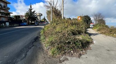 Vibo, lavori di bonifica nel quartiere Affaccio: soddisfatto il consigliere Tucci