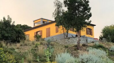 Giardino botanico nel museo del mare a Capo Vaticano, il Comune di Ricadi cerca piante grasse