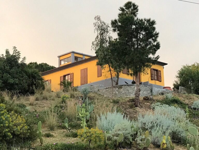 Giardino botanico nel museo del mare a Capo Vaticano, il Comune di Ricadi cerca piante grasse