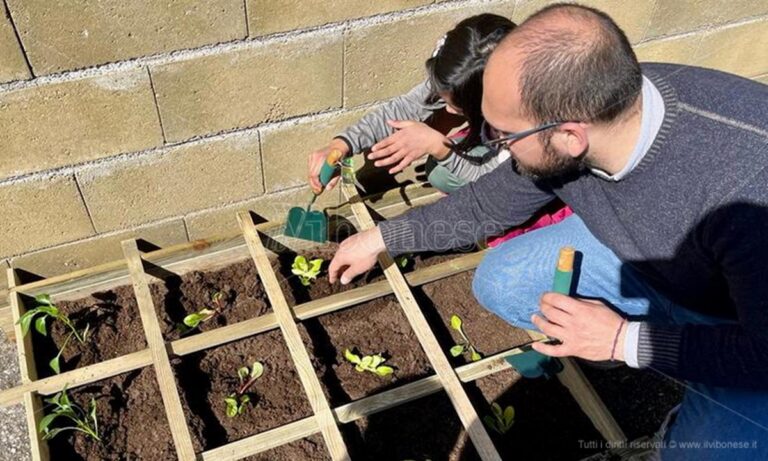 Orti didattici realizzati a Vibo Marina e Porto Salvo grazie al sostegno di Anthony Lo Bianco