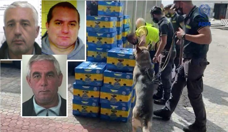 Il pentito Corsini, i sudamericani a San Calogero e la cocaina venduta ai reggini e al clan Di Lauro di Napoli