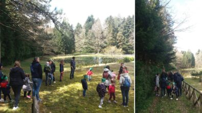 Piccoli escursionisti nel bosco Archiforo, bilancio positivo per “Le domeniche incantate”