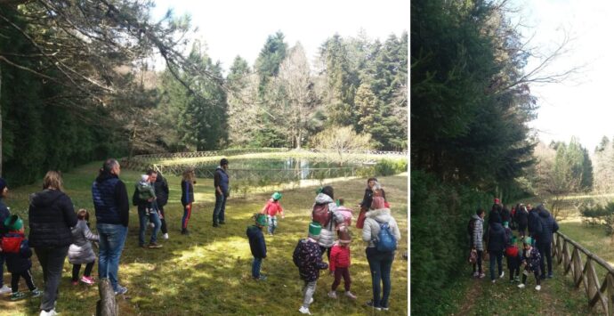 Piccoli escursionisti nel bosco Archiforo, bilancio positivo per “Le domeniche incantate”