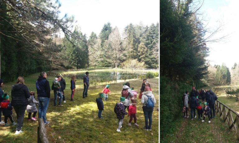 Piccoli escursionisti nel bosco Archiforo, bilancio positivo per “Le domeniche incantate”