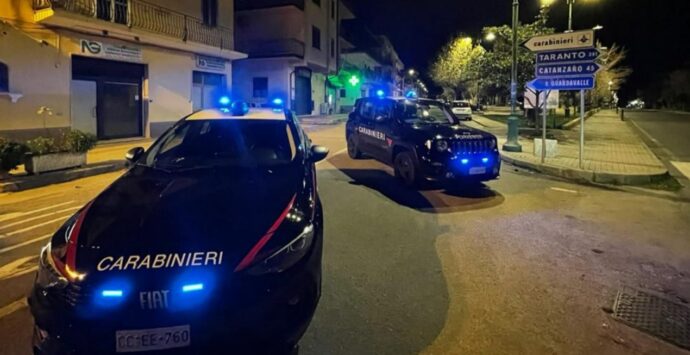 Traffico di droga, 10 arresti tra Calabria e Piemonte -Video