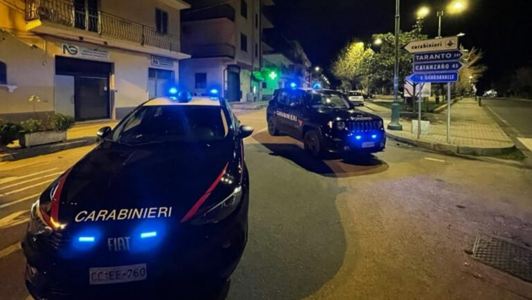 Traffico di droga, 10 arresti tra Calabria e Piemonte -Video