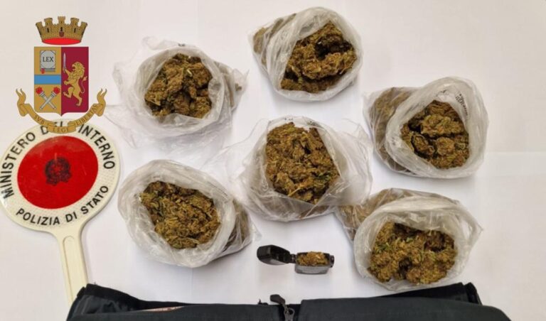 Vibo, beccato in auto con 300 grammi di marijuana: un arresto