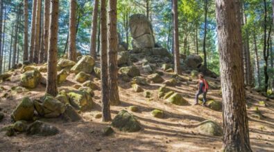 Megaliti di Nardodipace, nuovi studi grazie all’accordo Parco Serre e Unical