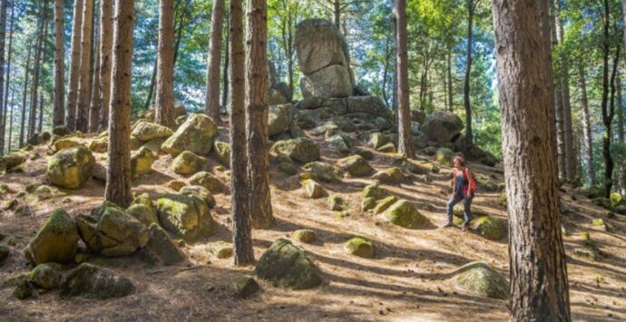 Megaliti di Nardodipace, nuovi studi grazie all’accordo Parco Serre e Unical