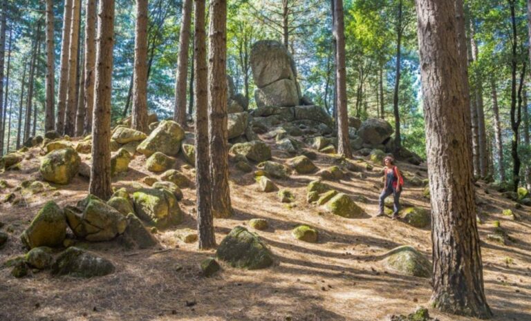 Megaliti di Nardodipace, nuovi studi grazie all’accordo Parco Serre e Unical