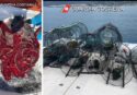 Pesca illegale, sequestri della Capitaneria di Vibo Marina e multe per seimila euro