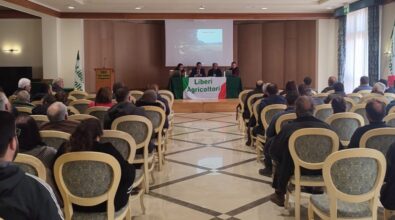 Vibo, riforma Pac: seminario organizzato da Anpa – Liberi Agricoltori Calabria