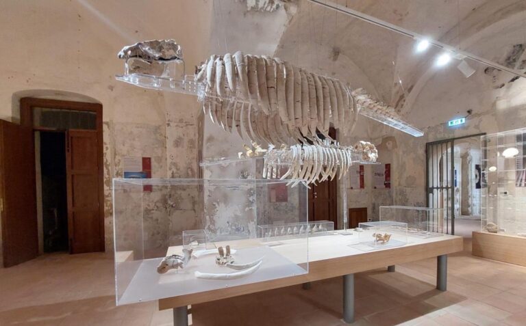 Civico museo del mare a Tropea, tutto pronto per la riapertura al pubblico