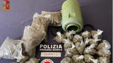 Oltre tre chili di marijuana divisa in dosi sequestrata dalla polizia tra il Vibonese e Rosarno
