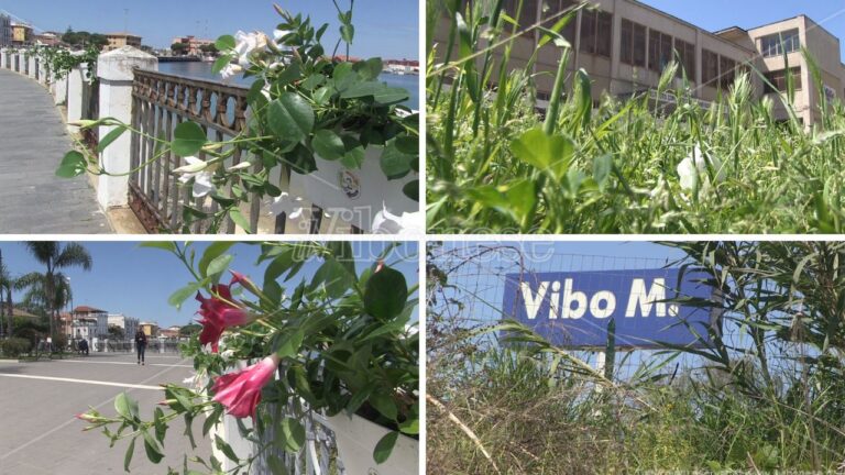 Vibo Valentia, la frazione Marina tra fiori e… sterpaglie – Video