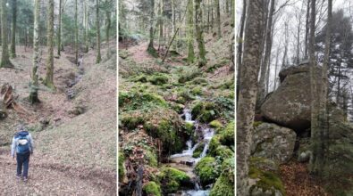 I boschi della Lacina e la storia degli scalpellini serresi: natura e storia nel nuovo percorso trekking