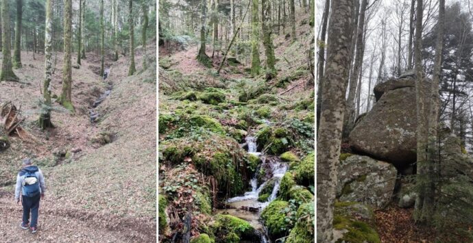 I boschi della Lacina e la storia degli scalpellini serresi: natura e storia nel nuovo percorso trekking