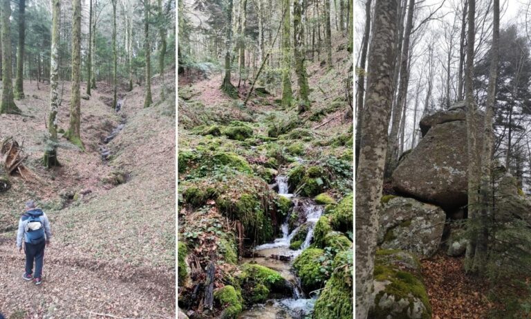 I boschi della Lacina e la storia degli scalpellini serresi: natura e storia nel nuovo percorso trekking