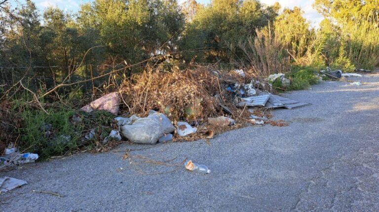 Rifiuti lungo le strade vibonesi, le soluzioni delle associazioni a confronto con il prefetto