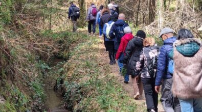 Inclusione e accoglienza, successo per il tour culturale e spirituale nel Parco delle Serre