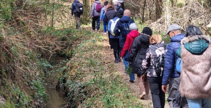 Inclusione e accoglienza, successo per il tour culturale e spirituale nel Parco delle Serre