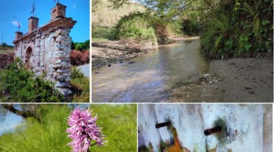 Viaggio alla scoperta del borgo fantasma di Papaglionti, la leggenda di Trisulina e le grotte di Zungri