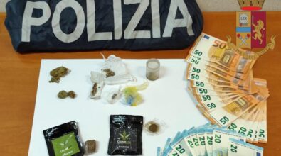 Operazione della Polizia di Stato di Vibo: denunce e sequestri