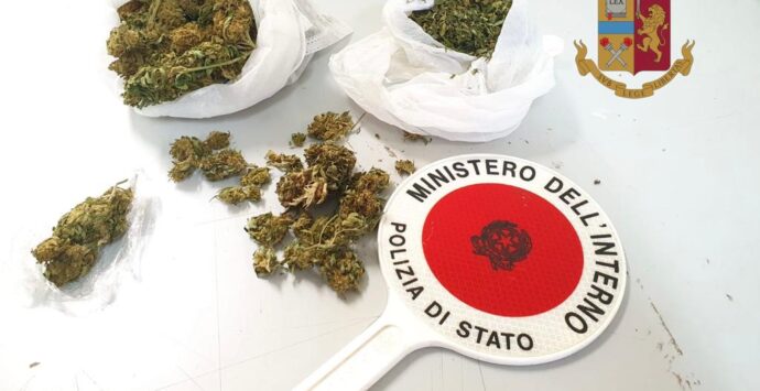 Marijuana e kit per lo spaccio in casa: due denunce nel Vibonese