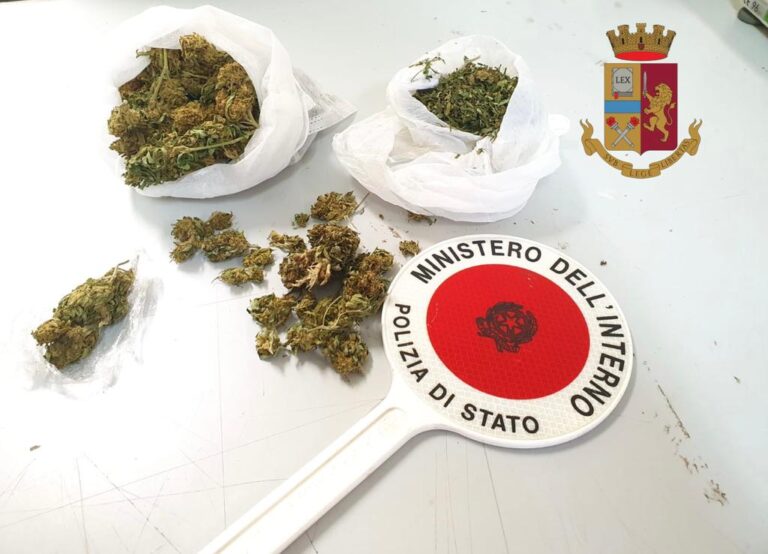 Marijuana e kit per lo spaccio in casa: due denunce nel Vibonese
