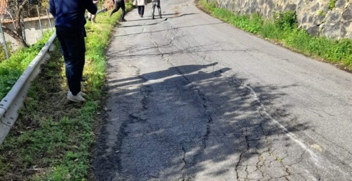 Joppolo, il vicesindaco Ventrice: «Affidato l’appalto per i lavori sulla provinciale 24»