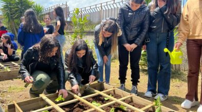 Vibo, consigliere comunale destina i gettoni di presenza a favore di un orto didattico a scuola