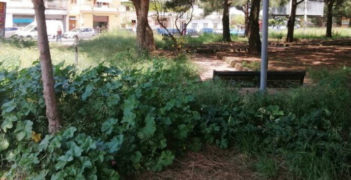 Aree verdi a Vibo tra “incuria e degrado”, Stefano Soriano contro l’amministrazione: «Città in agonia»