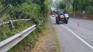 Vibo, il Comune: «Al via pulizia straordinaria di città e frazioni» – Foto