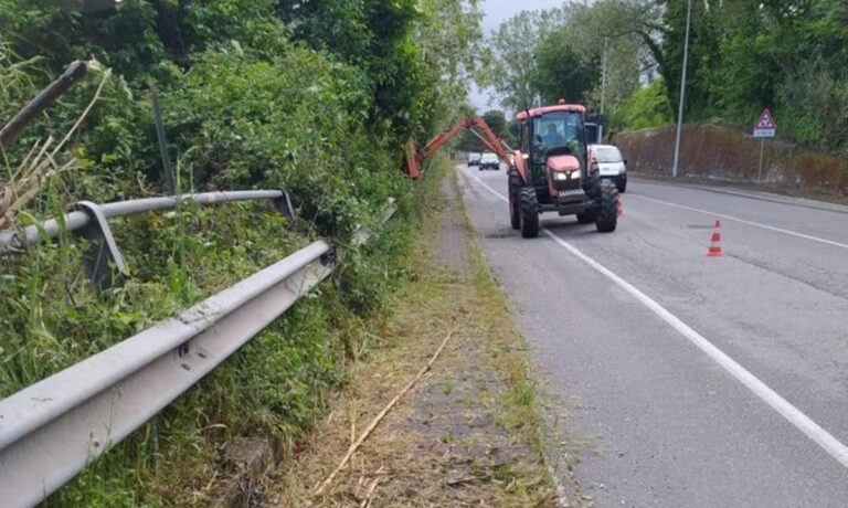 Vibo, il Comune: «Al via pulizia straordinaria di città e frazioni» – Foto