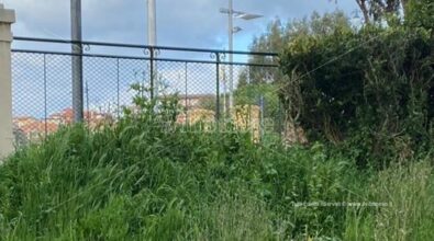Villa comunale di Vibo Valentia nell’abbandono, la denuncia del consigliere Miceli – Foto
