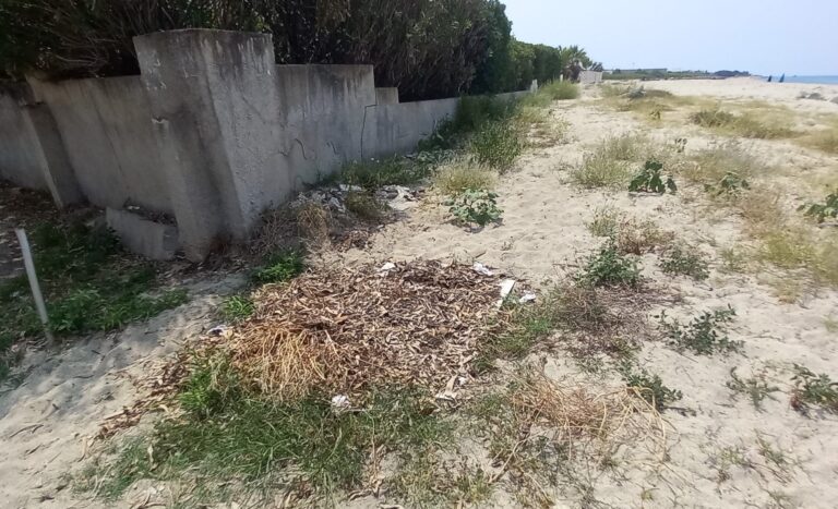 Spiaggia di Bivona, Nesci: «Il degrado indica che non viene pulita dalla scorsa estate»